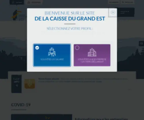 Cibtp-Grandest.fr(Salarié) Screenshot