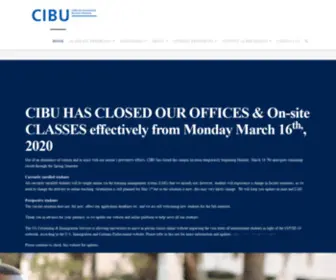 Cibu.edu(Cibu) Screenshot