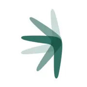 Cicchicago.com Favicon