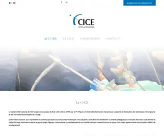 Cice.fr(Le Centre International de Chirurgie Endoscopique (CICE)) Screenshot