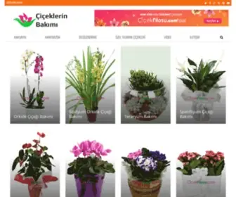 Ciceklerinbakimi.com(ÇİÇEKLERİN) Screenshot