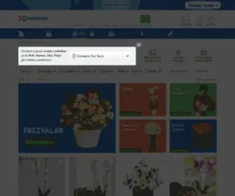 Ciceksiparisi.com(Çiçek Siparişi ve Çiçek Gönder) Screenshot