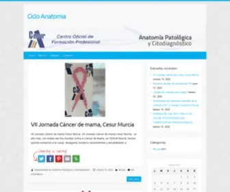 Cicloanatomia.com(Ciclo Anatomia) Screenshot