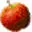 Cider.org.uk Favicon