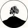 Ciderbrandy.co.uk Favicon
