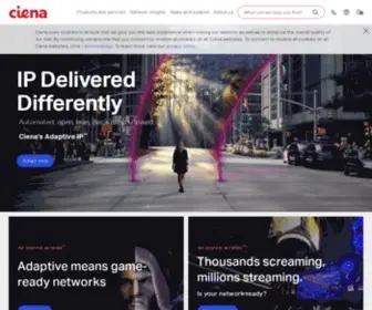 Ciena.com(The Network Specialist) Screenshot