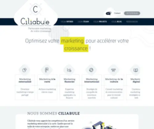 Ciliabule.fr(Agence spécialisée dans la stratégie marketing) Screenshot