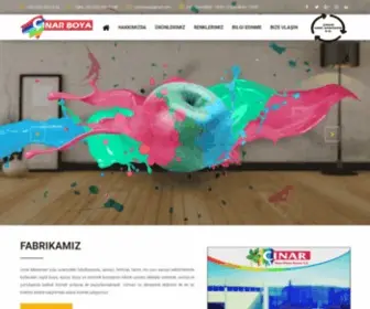 Cinarboya.com(Çınar Boya Kimya Sanayi A.Ş) Screenshot