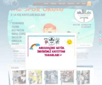Cinarimanaokullari.com(Çınarım) Screenshot
