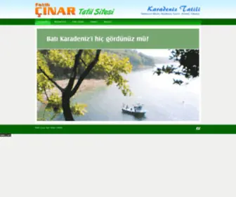 Cinartatil.com(Çınar Tatil Sitesi) Screenshot