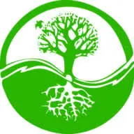 Cindyhayen.com Favicon
