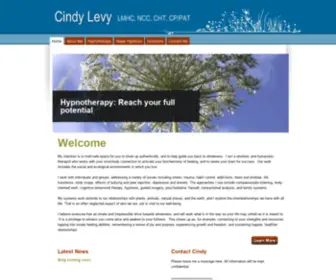 Cindylevy.com(Cindy Levy) Screenshot