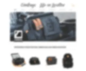 Cinebags.com(CineBags Inc) Screenshot