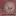 Cinesnark.com Favicon