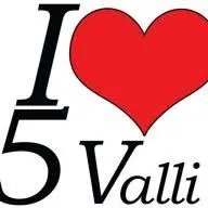 Cinque-Valli.com Logo