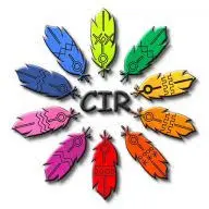 Cir.org.br Favicon