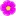 Cistus.com Favicon