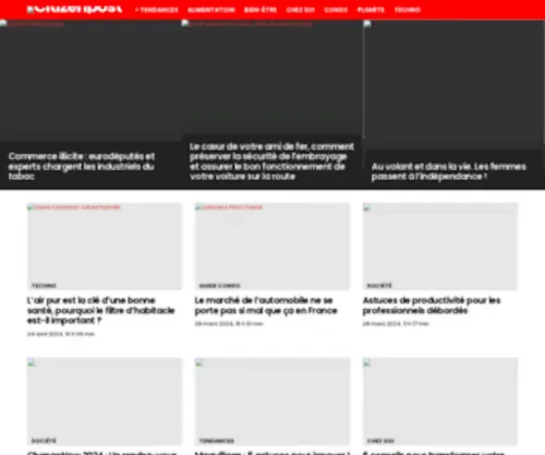 Citizenpost.fr(L'éclairage citoyen) Screenshot