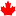 Citizenshipsupport.ca Logo