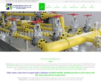 Citizenvalves.com(Stainless Steel Ball Valve &amp; Gate) Screenshot