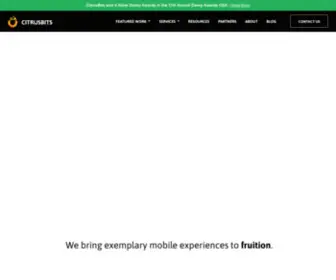 Citrusbits.com(Bay Area SharePoint Consulting Company) Screenshot