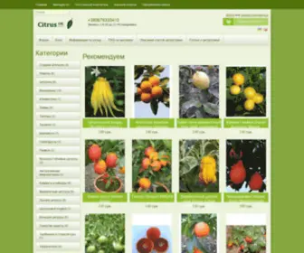 Citrusok.com(Citrusok) Screenshot