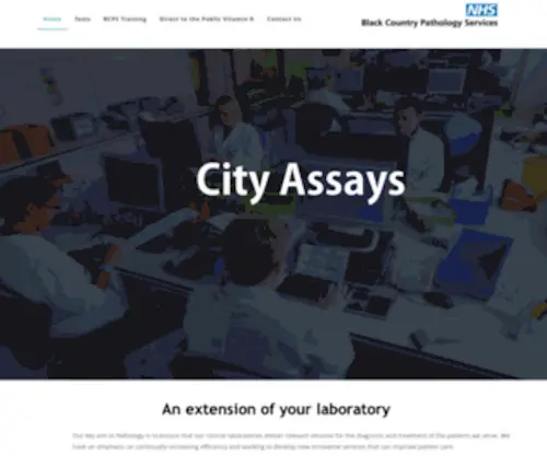 Cityassays.org.uk(Index) Screenshot