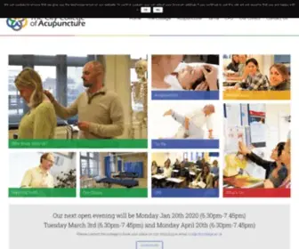 Citycollegeofacupuncture.com(The City College of Acupuncture) Screenshot