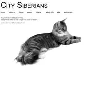 Citysiberians.com(City Siberians) Screenshot