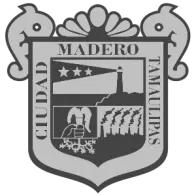 Ciudadmadero.gob.mx Favicon