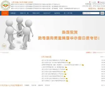 Ckaizen.com(大野咨询) Screenshot