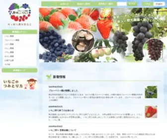 CKNK.jp(秩父には観光いちご園・ぶどう園をはじめとした、たくさん) Screenshot