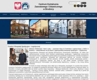 Ckziubrodnica.pl(Strona główna) Screenshot