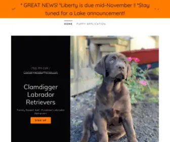 Clamdiggerlabs.com(Clamdigger Labrador Retrievers) Screenshot