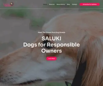 Classicsaluki.com(Adopt Pure Dog Breeds) Screenshot