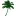 Claytonpalms.com Favicon