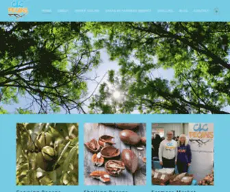 CLcpecans.com(CLC Pecans) Screenshot