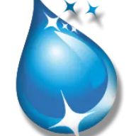 Cleaningteam.com.mx Logo