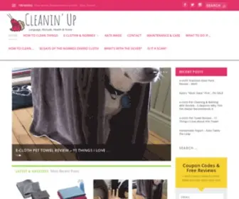 Cleaninup.com(Cleanin Up) Screenshot