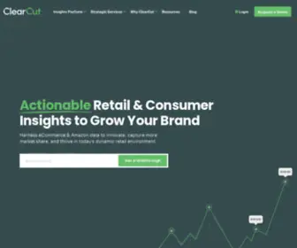 Clearcutanalytics.com(Retail Analytics Company) Screenshot