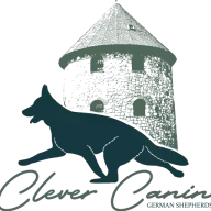 Clevercanin.gr Logo