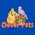 Cleverrussia.com Favicon