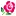 Clickroses.com Favicon