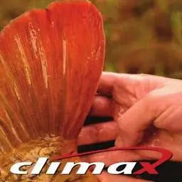 Climaxline.co.za Logo