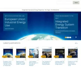 Clingendaelenergy.com(Centre for International Energy Policy) Screenshot