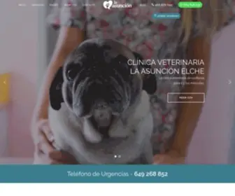 Clinicaveterinarialaasuncion.com(Clínica Veterinaria en Elche) Screenshot