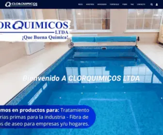 Clorquimicos.com(CLORQUIMICOS LTDA) Screenshot