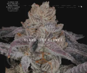 Cloudcityclones.com(Clones for Sale. Cloud City Clones) Screenshot