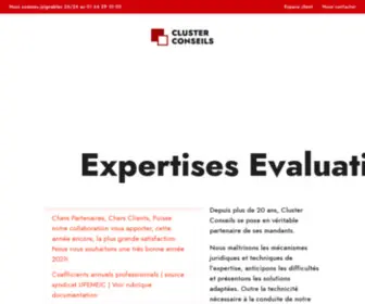 Cluster-Conseils.net(Cluster conseils expertises) Screenshot