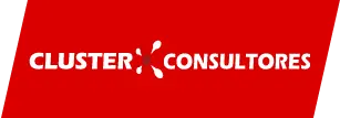 Clusterconsultores.cl Favicon